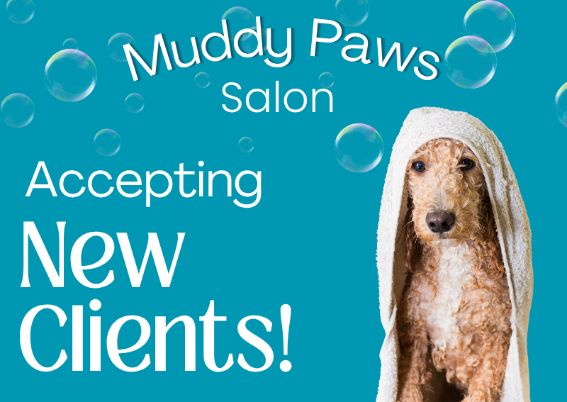 Carousel Slide 1: Learn more about our grooming services!
