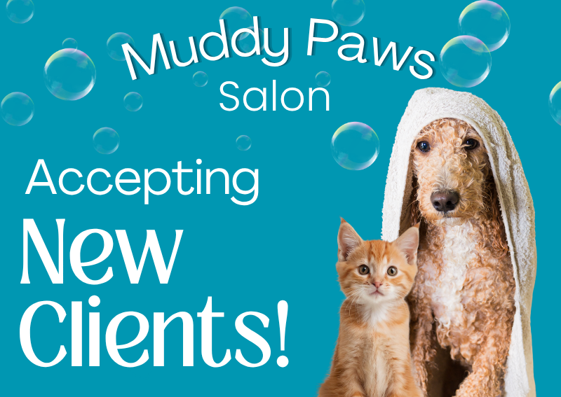 Carousel Slide 1: Learn more about our grooming services!