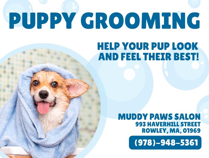 Puppy Grooming!